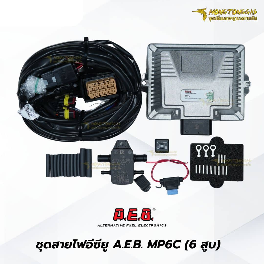 ชุดสายไฟ AEB 6 สูบ หงษ์ทองแก๊ส ติดแก๊ส lpg